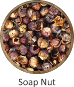 Super Selling Soap Nut with 100% Natural Multi Purpose Uses Soap Nut For Sale By Indian Exporters At Low Prices