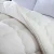 Import Super Warm Lamb quilt winter blanket double-sided velvet quilt thickened warm  comforter customized withTwin comforter customize from China