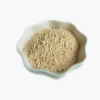 Supply Whey Protein powder in Bulk