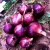Import sweet yellow onion and red onion price of Chinese origin from China