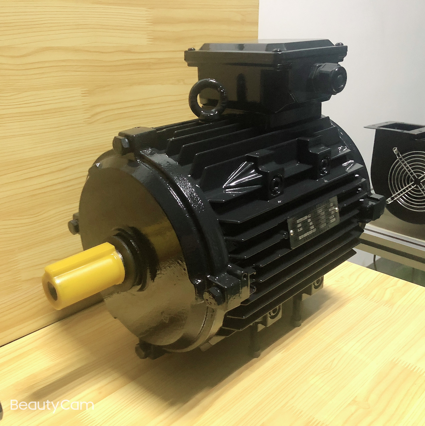 Buy Synchronous Motor Direct Drive Selfstarting Electric Motors 7.5kw