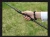 Import Telescopic CARBON Fishing Rod 2.1m 2.4m 2.7m 3m 3.6m SUPER hard Ultra Light Fishing Stick hand pole Spinning rod from China