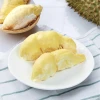 Thailand Fruit Premium Grade Frozen Whole Mornthong Durian