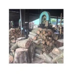 TIMBER LOGS AND WOOD RUBBER WOOD LOGS
