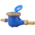 Import Time-limited Brass water flow meter multi-jet wet type cold water meter from China