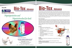 Toxin binder and Mould inhibitor for Broiler chicken farm