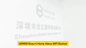 UEMON Smart home wifi switch for smart home mobile phone remote control alexa wireless switch pk sonoff