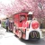 Import Used small amusement park electric ride toy train for kids & adult from China
