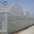 Import ventilation rack and pinion plastic film greenhouse from China