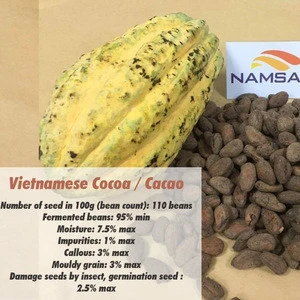 Vietnam Cocoa/Cacao/Chocolate Beans, Rich Flavor, Best Quality, New Crop, Dried