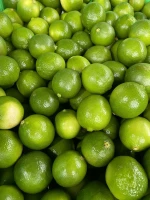 VIETNAM FRESH SEEDLESS GREEN LEMON/LIME +0084 911 735 511