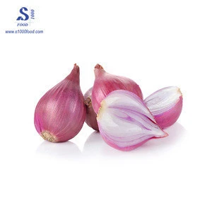 Vietnam onion red exports / fresh / dry, high quality