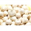 Vietnamese specialty garlic is fragrant, delicious and safe