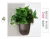 Import Wall hanging planter, corner wall planter, self watering flower pot for indoor decoration and home decoration from China