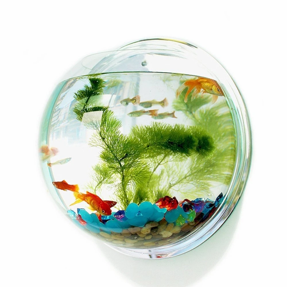 Wall Mounted Acrylic Fish Bowl Beta Fish Tank Aquariums Hydroponic Plant Home Decor