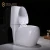 Import Water Closet, Colored Toilet Bowl, Two Piece toilet Suite from China