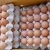 Import Fresh White and Brown Chicken Eggs For Sale from United Kingdom