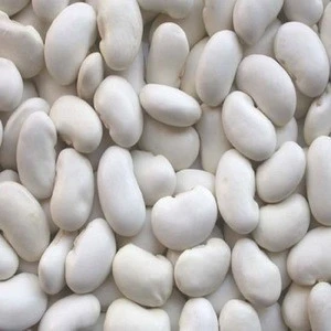 High Quality White Kidney Beans, Speckled Black Beans
