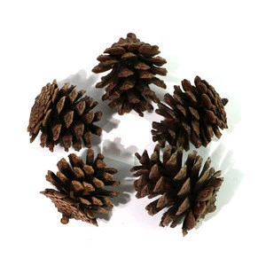 wholesale christmas wreath Decoration out door christmas garland pine cones 5 pcs / set