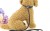 Wholesale durable pet collar leash nylon dog rope harness