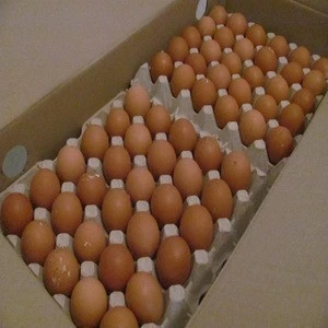 Wholesale Fresh White/Brown Chicken Eggs