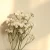 Import Wholesale Silk Mini Babysbreath Artificial White Flower For Home Decor from China