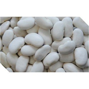 Wholesale White Dried Speckled Butter Beans For Sale