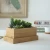 Import Wooden Plant Seeds Box, Indoor Outdoor Windowsill Kitchen Garden Herb / Flower Planter Trough from China