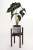 Import wooden plant stand with tray for indoor and outdoor from China