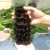 Import XBL Straight/ Body/ Loose/ Deep/ Curly/ Water Wave 1 Bundle sample 12&quot; Natural Color 100% Human Hair Weave virgin hair extension from China