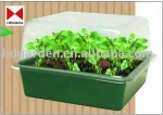 Young Plants Plastic Seeding Nursery Pot
