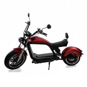 Popular 2000w powerful long range citycoco adult fat tire electric scooter with removable Lithium Battery