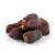 Import Premium Quality Dried Dates For Sale Fresh Sweet Dried Dates Available In Bulk With High Natural Sugar Content from South Africa
