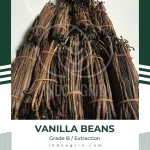 Vanilla Beans - Vanilla Planifolia Indonesian Best Vanilla Pods