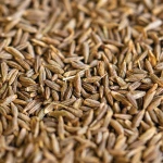 Wholesale Price High Quality Natural Cumin Seeds Own Brand Single Spice Herb Fried 12 Months Shelf Life Cool Dry Storag