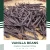 Import Vanilla Beans - Vanilla Planifolia Indonesian Best Vanilla Pods from Indonesia