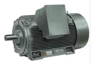 Y2 high voltage compact cast iron motor