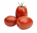 Fresh Elongated Mediterranean Tomatoes