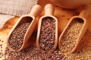 Quality flax seeds linseed for oil pressing, oil seeds