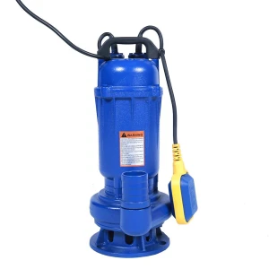 BASOO-WQD Submersible Pump.