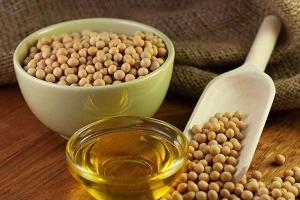 Refined, Crude Soybean Oil, Soybean Cooking Oil in Best Price