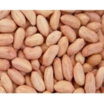 Kuber Indian Groundnut seeds
