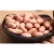 Import Kuber Indian Groundnut seeds from India