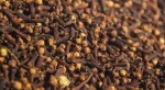 Cloves / cengkeh