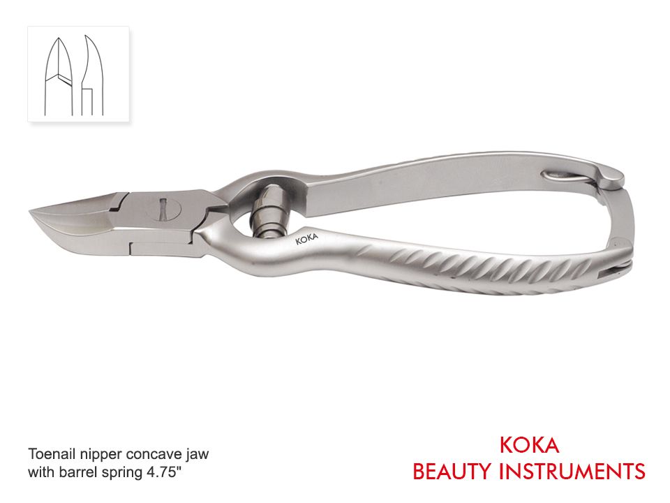 Cuccioli Di Bassotto Nano Tedesco A Pelo Raso In Vendita A Modena (MO - Foto 6