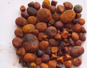 100% Quality Dried Cow Ox Gallstones, Cattle Gallstones