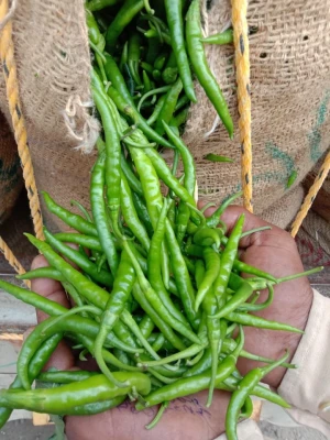 Green Chilly