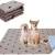 Import Washable Puppy Pee Pads Wholesale from China
