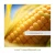 Import Yellow Maize Corn - YELLOW CORN - from UKRAINE / PRICE 2020 / from Ukraine