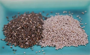 Chia Black/White Organic/Conventional Seeds, Milled, Oil